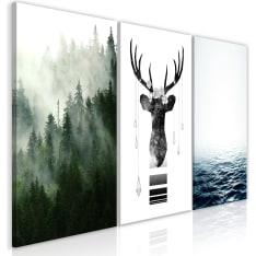 Artgeist Chilly Nature (Collection) taulusetti