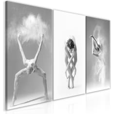 Artgeist Ballet taulusetti