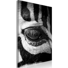 Artgeist Zebra Eye  Vertical taulu