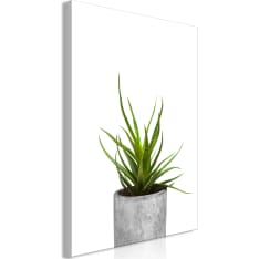 Artgeist Haworthia  Vertical taulu