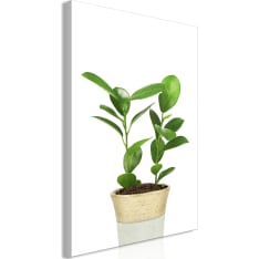 Artgeist Plant In Pot  Vertical taulu