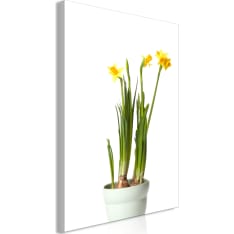 Artgeist Narcissus  Vertical taulu