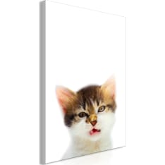 Artgeist Vexed Cat  Vertical taulu