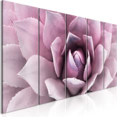 Artgeist Agave  Narrow Pink taulusetti