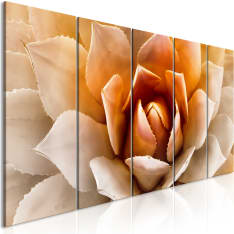 Artgeist Agave  Narrow Orange taulusetti