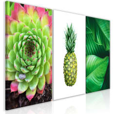 Artgeist Treasures Of The Tropics  taulusetti
