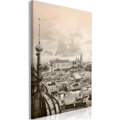 Artgeist Cracow: Royal Castle  Vertical taulu