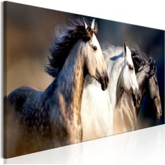 Canvas Print - Sons of the Wind (1 Part) Narrow