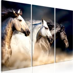 Canvas Print - Sons of the Wind (3 Parts)