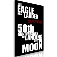 Artgeist Moon Landing  Vertical taulu