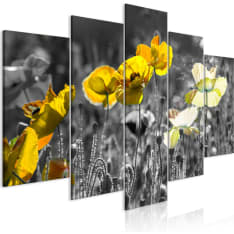 Artgeist Yellow Poppies  Wide taulusetti