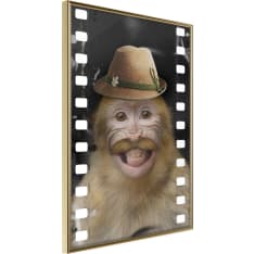 Poster - Dressed Up Monkey