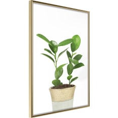 Poster - Piece of Nature II