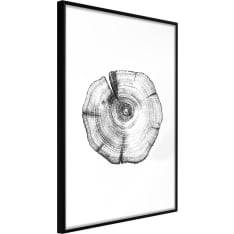 Artgeist Tree Rings juliste