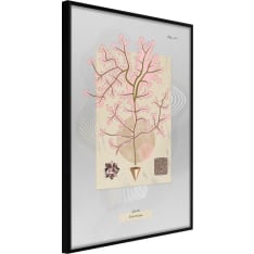 Artgeist Seaweed juliste