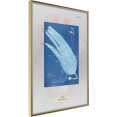 Artgeist Alga Cyanotype juliste