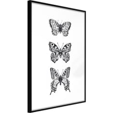 Poster - Butterfly Collection III