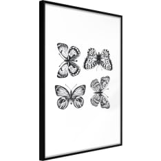 Poster - Butterfly Collection III