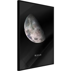 Poster - The Solar System: Moon