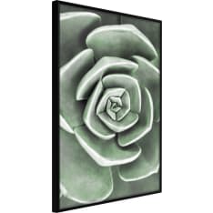 Artgeist Robust Plant juliste