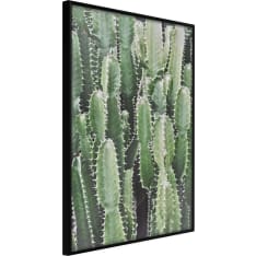 Artgeist Cactus Plantation juliste