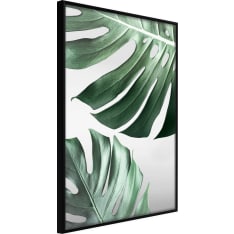 Poster - Leaves Like Swiss Cheese