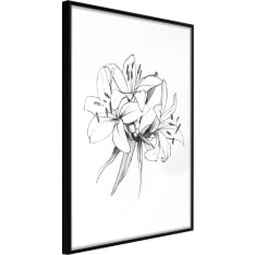 Artgeist Sketch Of Lillies juliste