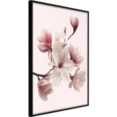 Artgeist Blooming Magnolias I juliste