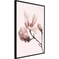 Artgeist Blooming Magnolias Ii juliste