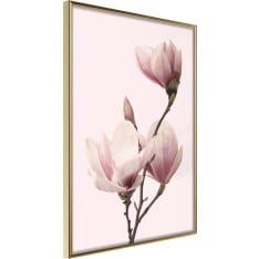 Artgeist Blooming Magnolias Iii juliste