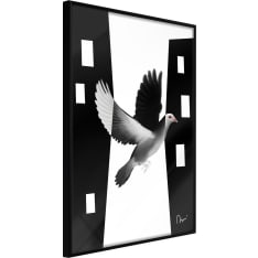 Poster - Caught in Flight