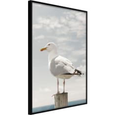 Artgeist Curious Seagull juliste