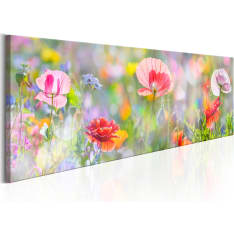 Artgeist Rainbow of Morning poppies taulu