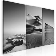Artgeist Desert Landscape (Collection) taulusetti