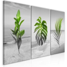 Artgeist Plants (Collection) taulusetti