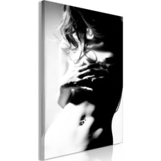 Artgeist Perfect Waist  Vertical taulu