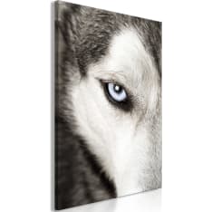 Artgeist Dog'S Look  taulu