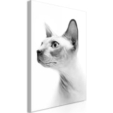 Artgeist Hairless Cat  Vertical taulu