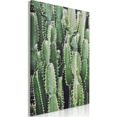 Artgeist Cactus Garden  Vertical taulu