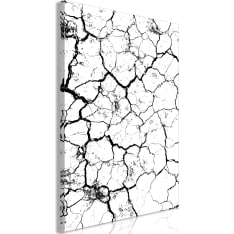 Canvas Print - Cracked Earth (1 Part) Vertical