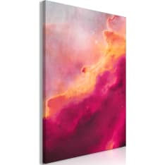 Artgeist Pink Nebula  taulu
