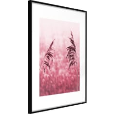 Poster - Amaranth Meadow