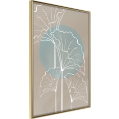 Poster - Miraculous Plant