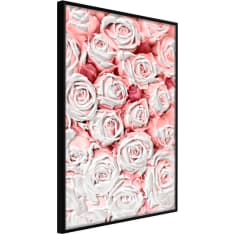 Poster - Purity