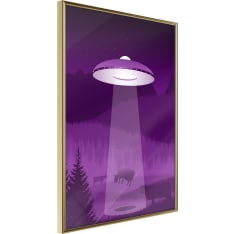 Artgeist Flying Saucer juliste