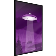 Artgeist Flying Saucer juliste