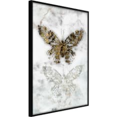 Poster - Butterfly Fossils