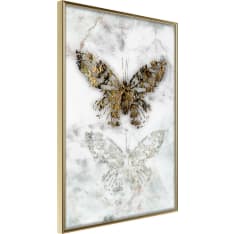 Poster - Butterfly Fossils