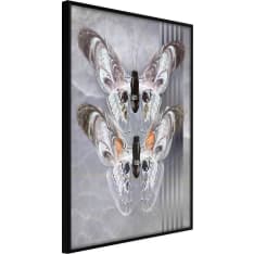 Artgeist Two Moths juliste