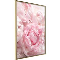Poster - Abundance of Flowers
